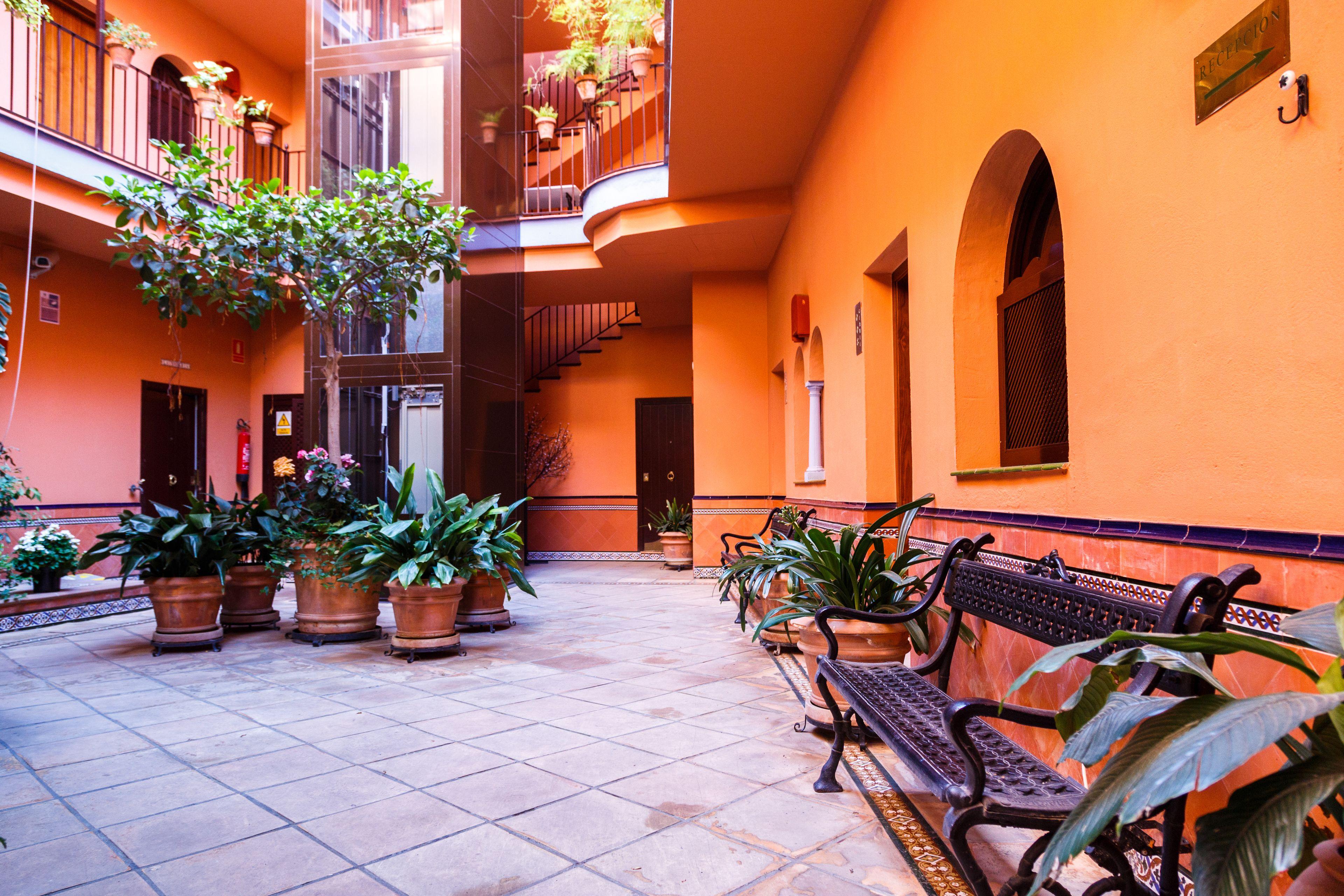 Patio De La Alameda — Fotos 2