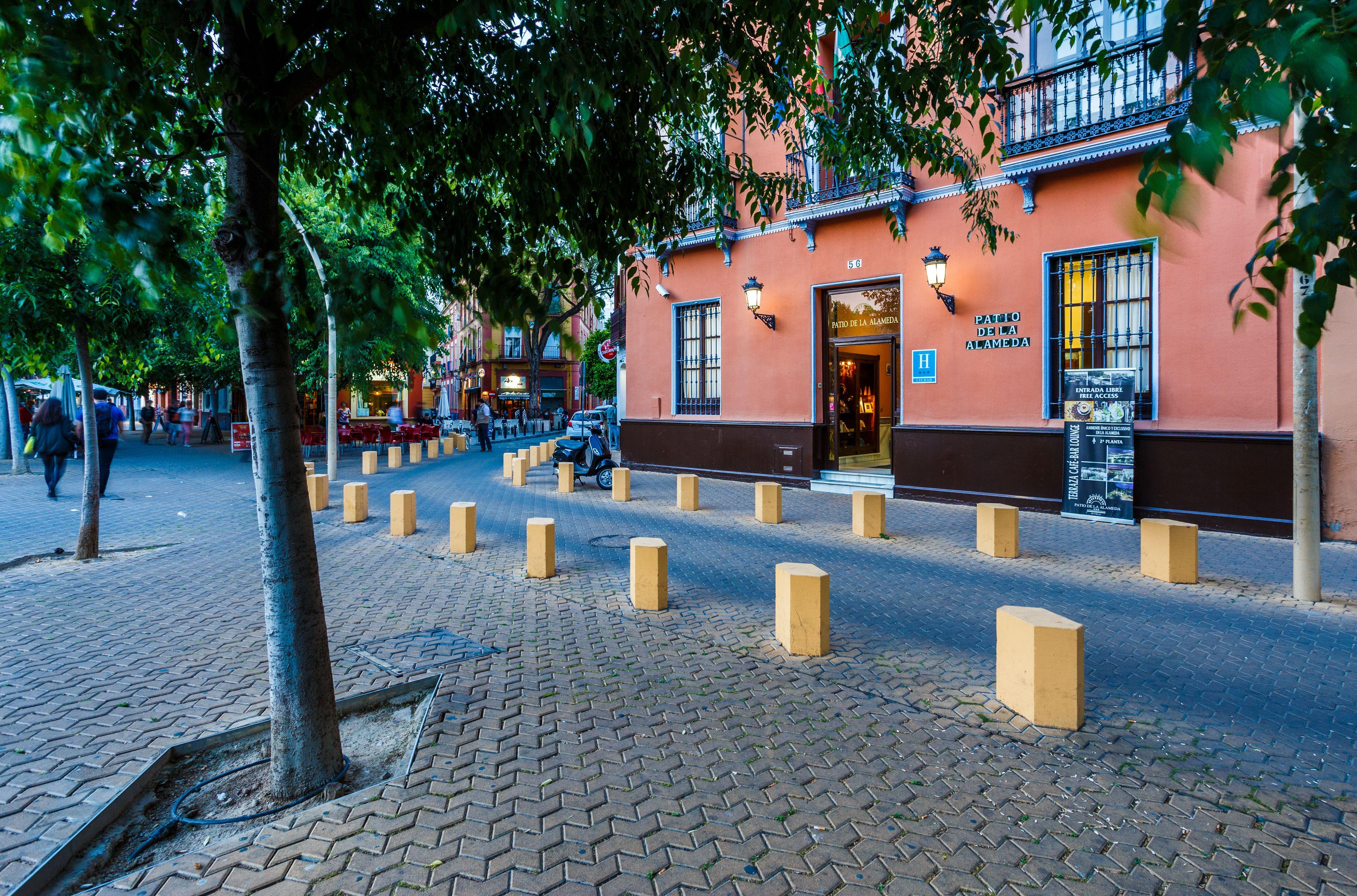 Patio De La Alameda — Fotos 3